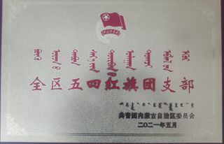 全区五四红旗团支部